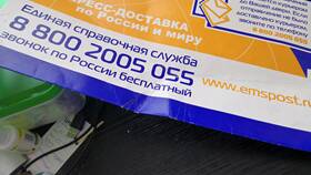 EMS доставка по России: что это в Аптека Невис