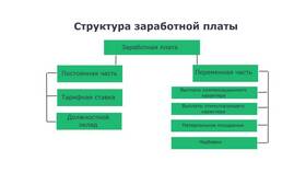 Факторы, влияющие на размер заработной платы в Аптека Невис