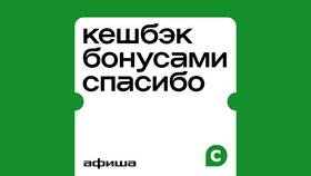 Как можно накопить бонусы СберСпасибо в Аптека Невис