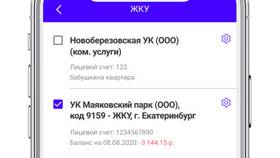 Как оплатить заказ через мобильное приложение в Аптека Невис