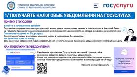 Как платить налоги через портал Госуслуги в Аптека Невис