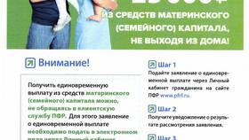 Как получить единовременную выплату пенсионных накоплений в Аптека Невис