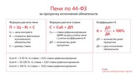 Как правильно рассчитать сумму пени в Аптека Невис