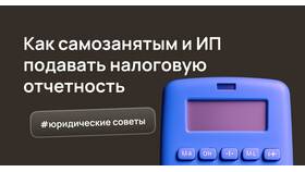 Как сдать налоговую отчетность ИП в Аптека Невис