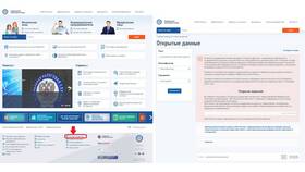 Как узнать систему налогообложения контрагента по ИНН в Аптека Невис