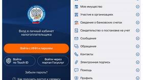 Как закрыть ООО через личный кабинет налогоплательщика в Аптека Невис