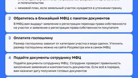 Как зарегистрировать земельный участок через МФЦ в Аптека Невис