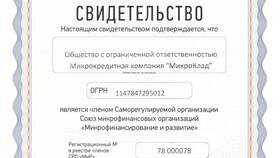 Микроклад займ: что это в Аптека Невис