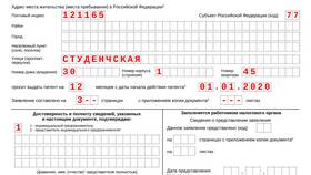 Наименование организации ИП: что указывать в документах в Аптека Невис