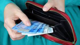 Платеж ПДС: понятие и особенности в Аптека Невис
