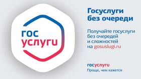 Почему не меняется фамилия на Госуслугах в Аптека Невис
