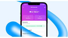 Почему не переводятся деньги на кошелек Wildberries в Аптека Невис
