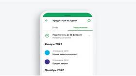 Займ как способ оплаты: особенности и возможности в Аптека Невис