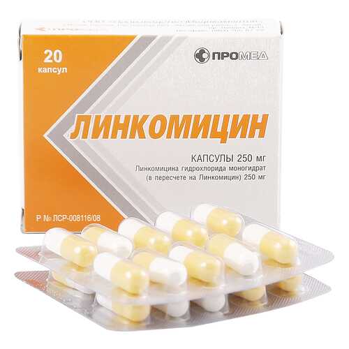 Линкомицин гидрохлорид капсулы 0,25 г 20 шт. в Аптека Невис